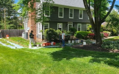 Mastering the Art of Basement Transformation: Discover Basement Gurus Specialists