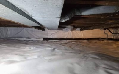 Embracing the Depths: A Comprehensive Guide to Basement Renovations with Basement Guru